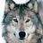 Profile Picture of Brady Gibson (@@iCherokeeWolf) on Twitter