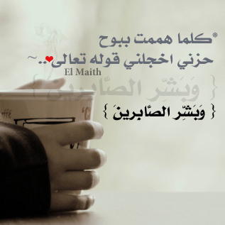 SoldierX1991's profile picture. FREE FOLLOWS / Follow: @sSwWaF for MORE topics. Instagram: @everytime_photography for Beautiful photography pictures, @planes_info everything about planes