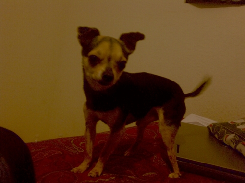 M_Samarripa's profile picture. 