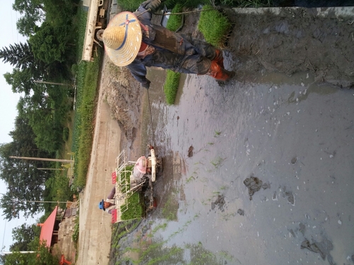 tnr5115's profile picture. 솔향강릉에서 친환경유기농 업으로 안전한 먹거리를제공하며특히 젊은생태계만 생각합니다,