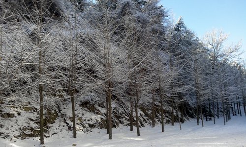 yeejin91v's profile picture. 