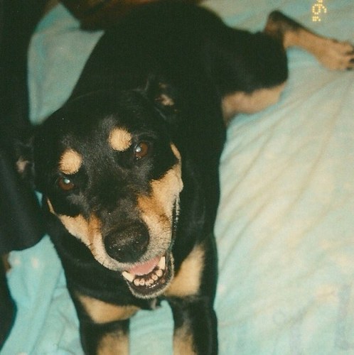 fmsamos4's profile picture. 