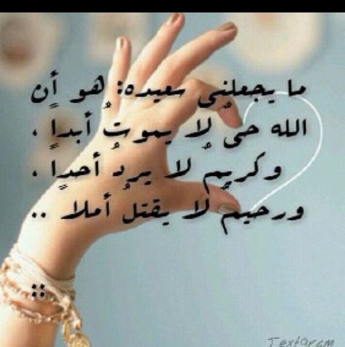 dnsona's profile picture. پنت شيخ وپنت أمير وپنت طيپ