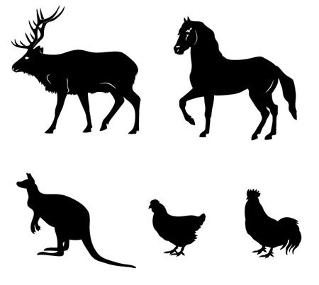 Wildlife ID