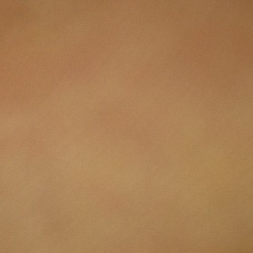 WhosR3al's profile picture. 