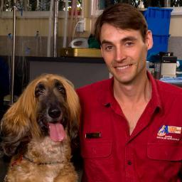 Cairns Vet Clinic is a small animal vet clinic in Queensland, Australia. Friendly, Professional vet care for dogs, cats & other pets. http://t.co/8C37R5zq