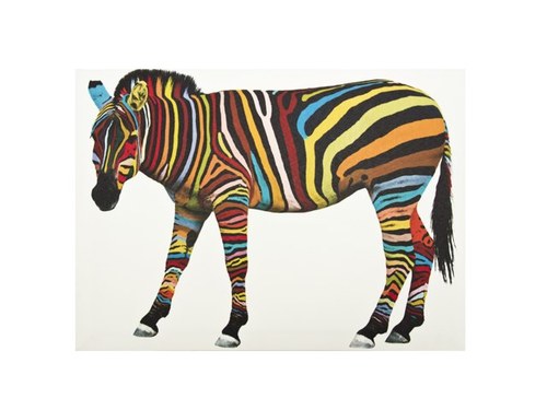 selling canvas prints, deckchairs, coasters, cushions, wooden pictures, personalised items: canvas prints, iphone cases, jigsaws, placemats, baby bibs, clocks.