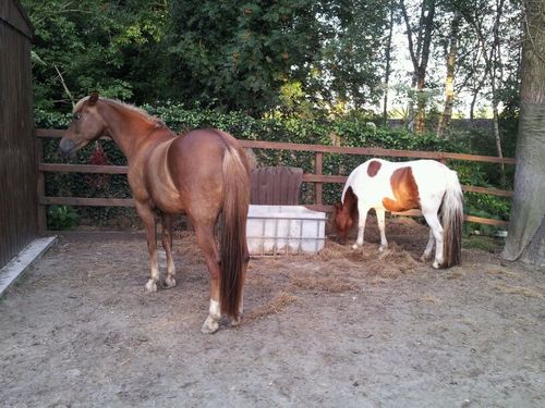 janetbleijinga's profile picture. 