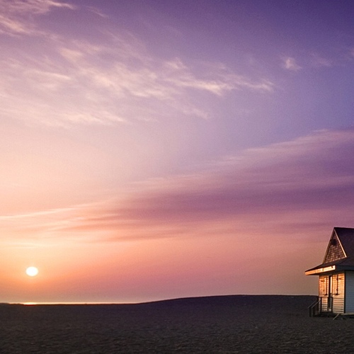 nik0go's profile picture. здесь никого нет. вам показалось