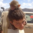 Devin Wallace - @wallacedevin13 - Twitter