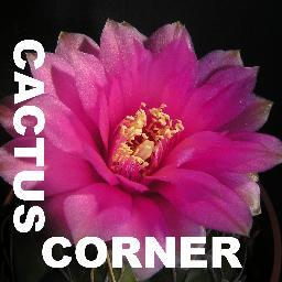 cactus_chris's profile picture. Just someone who likes taking weird and wonderful photographs and turning them into something unique.