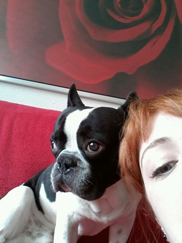 Mamma van Tom // Redhead // Zwemmer // Tattoo's // Supportmedewerker @ Randstad Inhouse Services