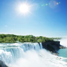 ecodancomtr's profile picture. 