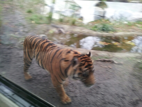 HRH_jinder's profile picture. 