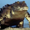 van king arsenal - @mi7407777 - Twitter