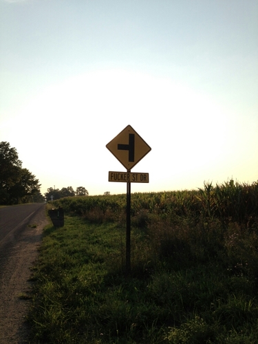 kes94207's profile picture. 끝까지 가보자 민주주의의 패적들. 니머릿속에 뉴럴라이저.