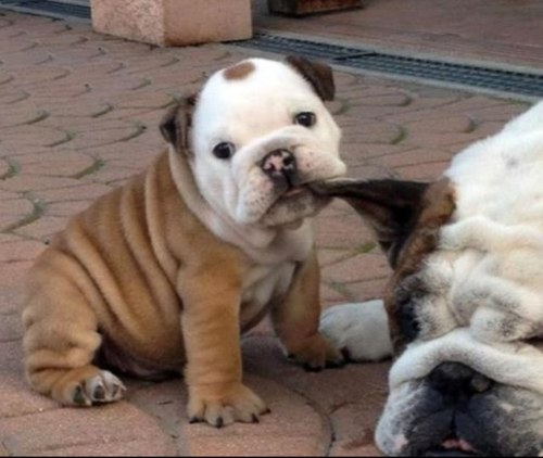 jiniya2027's profile picture. 