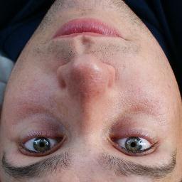 pedr0zil's profile picture. 