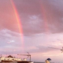 lolateri's profile picture. 