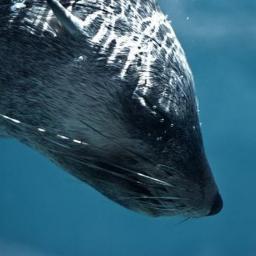 ValStelmaszyk's profile picture. 