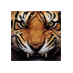 Philip Hebert (@philipdhebert) Twitter profile photo Philip Hebert (@philipdhebert) Twitter profile photo