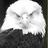 montbatcol's profile image