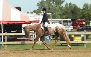 Just a small town girl with big dreams. Horses, trucks & cowboy butts are my thing(; #teamcowgirl #teamfollowback