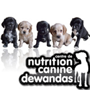 Les meilleurs soins pour chats et chiens. 
Centre de Nutrition Canine Dewandas