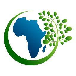 African_Moringa Profile Picture