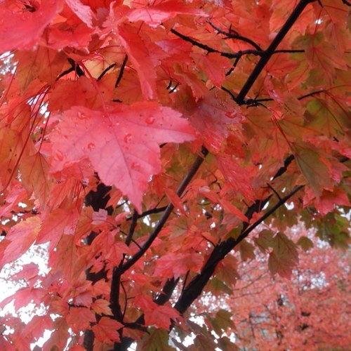 swsunnybird's profile picture. 