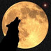 KtotheG (@mooonglade_) Twitter profile photo KtotheG (@mooonglade_) Twitter profile photo