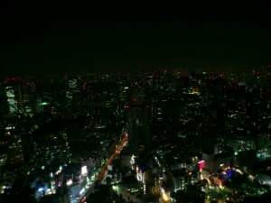 holly_toshimi's profile picture. RTばかりですみません