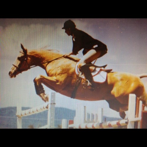 Past 'R' AHSA Judge | Multi GCh AHA IAHA AHSA open Hunter & Jumper | GCH AHSA IHSA MSHSA IMHSA Open Jumper | Gamblers choice • 6 bars • Puissance • Maclay medal