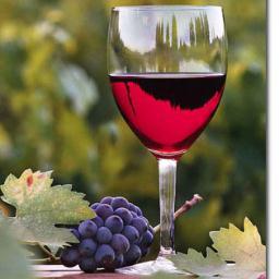 TotalWineFan's profile picture. We serve no wine before its' time...ok, it's time! Let's continue the fascinating conversation about the world of wine. Love wine tastings at Total Wine stores.