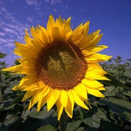 #p2, #followback and #iunfollowuback. Thanks for your understanding!