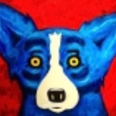 timothybrannan's profile picture. 