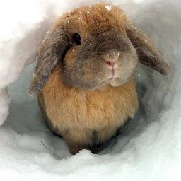 Hi !