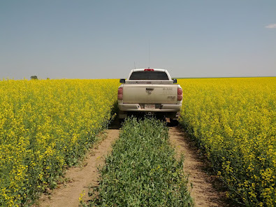 Independent fertilizer retailer based out of Pincher Creek Alberta.  We specialize in providing producers with complete balanced crop nutrition.
