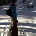 Andrew Pringle - @PringleAndrew - Twitter