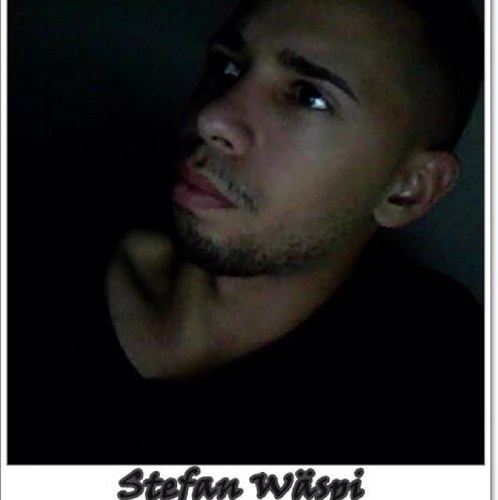 stefanwaespi's profile picture. Stefan Wäspi Event and Concert organizer in Switzerland -- Sent your Offers to stefanwaespi@gmail.com