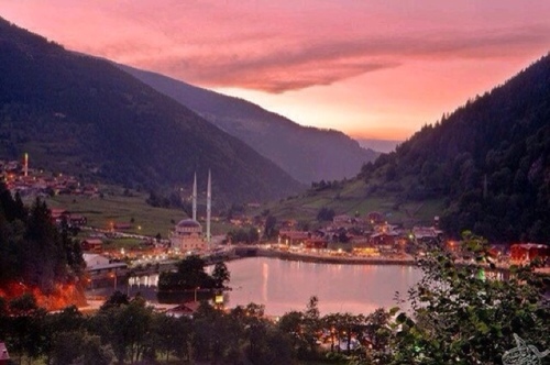 asd1390's profile picture. مصرفي .