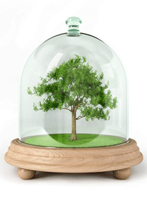 gogreennewyork's profile picture. Helping New York Go Green