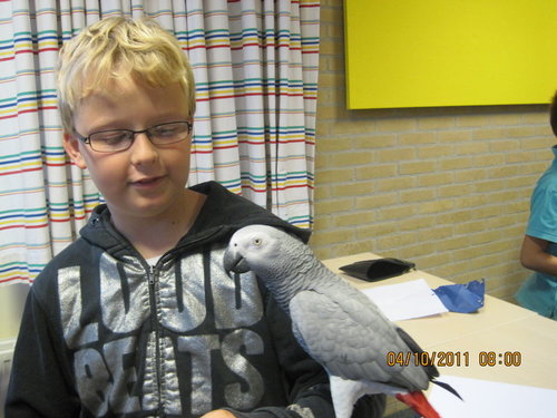 zin in oud en nieuw