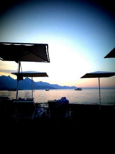 DarioBattaglia3's profile picture. 