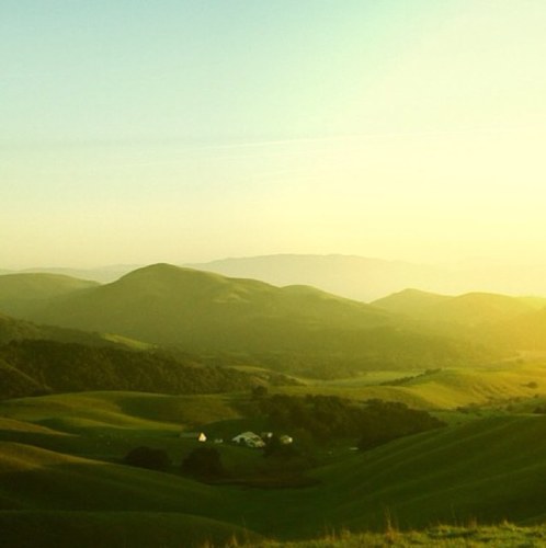 11Diablo's profile picture. 