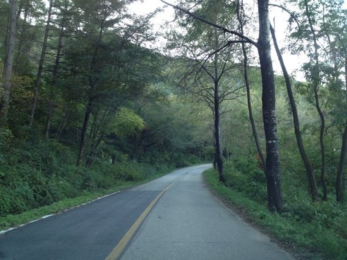 JethroTull0108's profile picture. Rock,민중가요,Guitar,Judo,진보,IPhone,4대강결사반대!,환경&기후변화걱정, 밑에 해당되면 팔하지말것.
Dislike - 수구,친일,아동범죄,삼성,롯데,농심,조중동,폭주족,부동산투기,이명박