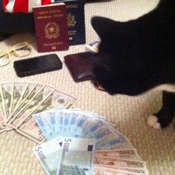 R_Cesaretti's profile picture. Books, Books, Books. Music.