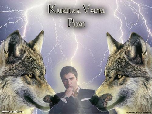 Afatch23Ahmmaad's profile picture. 