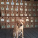 Jerry Moore - @JerryKneeDeep - Twitter