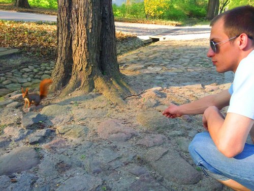 tucholek's profile picture. 